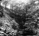 Rivelin Valley