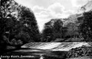 Weir, River Don in Beeley Woods