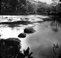 Stepping stones on River Don, Bitholmes Wood