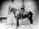 P.C. Christopher Edwards, mounted policeman