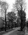 Adelaide Road, Nether Edge