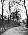 Bottom of Brookhouse Hill, Fulwood, leading down to Forge Dam.