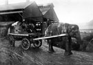 View: s15244 Lizzie Ward (elephant) working for Thomas W. Ward, Albion Works, Savile Street