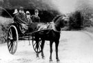 Members of the Milnes family in pony and trap at Bitholmes Wood, Deepcar around 1892-5