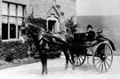 Members of the Milnes family in a horse and carriage around 1892-1895, possibly at Deepcar, Stocksbridge or Oughtibridge area