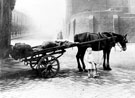 Walter Harrison with his father's horse and cart on the corner of Grimesthorpe Road/ Earl Marshall Road with Grimesthorpe School in the background