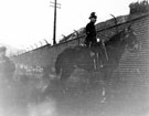 View: s16642 Mounted policeman Creaser from Attercliffe Police Station
