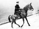 View: s16670 Police Constable Tommy Foy riding Jeff up the terraces at Bramall Lane