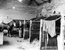 View: s16878 Last of the horses at the stables of Brightside and Carbrook Co-op., Broughton Lane Depot., Mr. H. Chapman the horse keeper