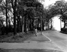 Hemsworth Road before alterations, looking west, opposite Lees Hall Golf Club