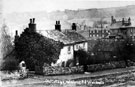 Cottages, Holmhirst Road, Woodseats, opposite Linacre Road. Rear of Masons' Arms, (later renamed Big Tree), in background