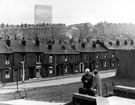 Martin Street showing the tenements on Mushroom Lane behind and the Arts Tower in the background