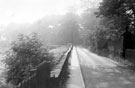 Norton Lees Road before road widening in 1960s to take buses, wall on right belonged to Lees House, West House was among trees, centre