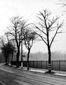 Rustlings Road, trees in front of park, 1946 - 47, Endcliffe Park, right