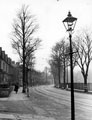 Rustlings Road, trees before pruning at bottom of Onslow Road, 1946-47