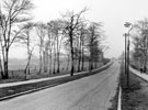Shirecliffe Road looking towards Boynton Road with Busk Meadow either side
