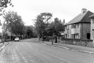 Tapton Crescent Road, Broomhill