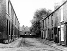Thirlwell Bank, Heeley, from Thirlwell Road, looking towards rear of houses fronting Albert Road