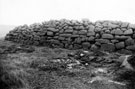 Excavations on Carl Wark showing the West Wall 9 1/2 feet high, Hathersage Moor