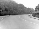 Firth Park Road looking towards the junction with Hamilton Road visible right