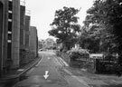 Mushroom Lane from the entrance to Old Dam House looking towards Western Bank with Mappin Art Gallery and Weston Park Museum left