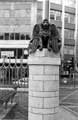 Bronze Griffin, Castle Square by sculptor Chris Boulton