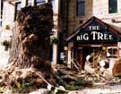 View: s28493 The Big Tree felled because of Dutch Elm Disease, The Big Tree public house, No. 842 Chesterfield Road