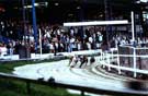 View: s28586 Greyhound racing, Owlerton Stadium