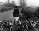 Ecclesfield Beagle Hunt