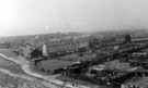 Elevated view of housing on Dolphin Street (middle of photograph), Broad Oaks Lane (diagonally in front of piggeries) and Piggeries,