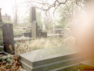 View: t00622 Gravestones, General Cemetery