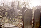 View: t00643 Gravestones, General Cemetery