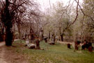 View: t00683 Gravestones, General Cemetery