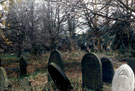 View: t00684 Gravestones, General Cemetery