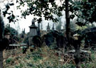 View: t00693 Gravestones, General Cemetery