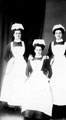 Nurses at Wharncliffe War Hospital (former S.Y. Asylum also referred to as Wadsley Asylum, later Middlewood Hospital) 