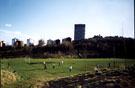 Football fields, Ponderosa, looking towards Netherthorpe Flats