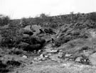 Wadsley Common, ganister drift mine, collapsed workings