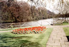 Beauchief Gardens, Abbeydale Road South looking towards Tyzack's Dam