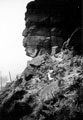 Man's Head Rock, Rivelin Man's Head Rock, Rivelin