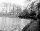 View: t02878 Lake in Graves Park