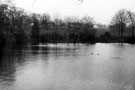 View: t02882 Graves Park lake