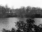 View: t02884 Graves Park lake