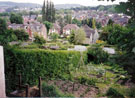 Brincliffe Edge allotments off Archer Lane looking towards No. 26 and housing on Edgedale Road