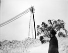 View: t03513 Alderman Joseph Curtis observing the broken telephone wires by Fulwood Hall, Harrison Lane