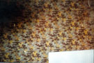 Refurbishments showing wallpaper, Hillsborough Branch Library, formerly Hillsborough Hall Refurbishments showing wallpaper, Hillsborough Branch Library, formerly Hillsborough Hall