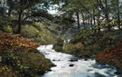 Rivelin Glen, River Rivelin