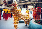 Lions accepting the Lucky Lettuce and Red Envelope (usually a gift of money), Barkers Pool during the Chinese New Year Procession 