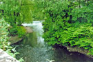 Walk Mill Weir and Island, River Don from Effingham Street on the Five Weirs Walk 