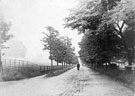 View: u01692 View looking along the top part of Whiteley Wood Road towards the junction of Hangingwater Road, opposite the allotments before any of the houses were built.